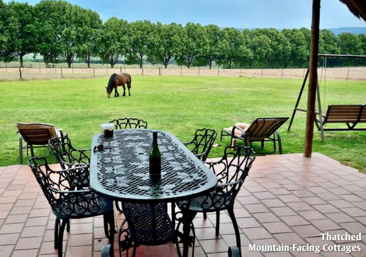 Ardmore Guest Farm Champagne Valley Exteriör bild